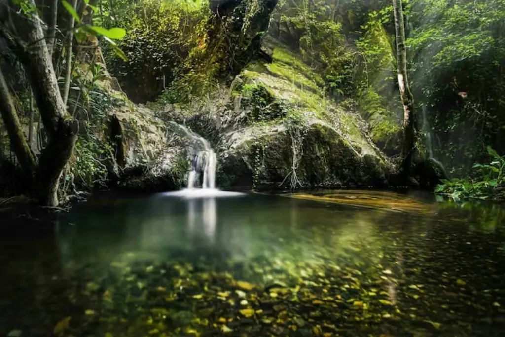 Cascada y poza en un arroyo entre bosque de la Sierra de Aracena