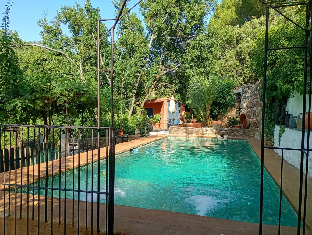 Piscina exterior privada entre jardines, con cancela de hierro y sombrillas