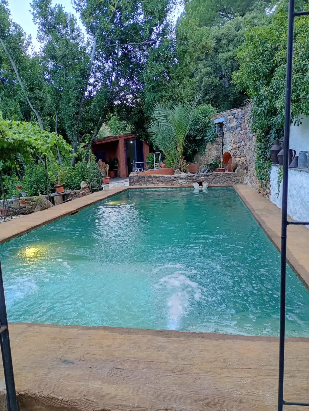 Piscina privada al atardecer con palmera y jardín en Linares de la Sierra