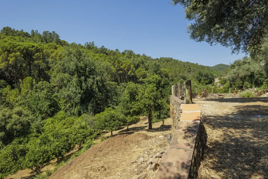 Vistas a los bosques del Parque Natural Sierra de Aracena desde la finca