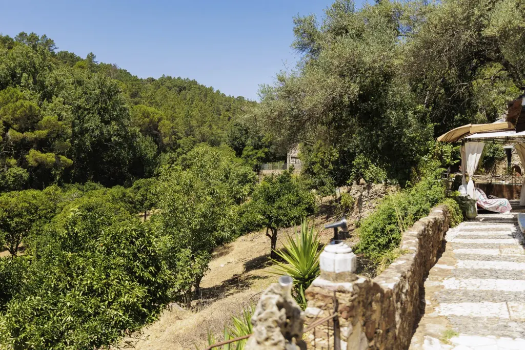 Huerta en bancales con escalera de piedra y cama balinesa entre frutales, en la finca de La Toscana