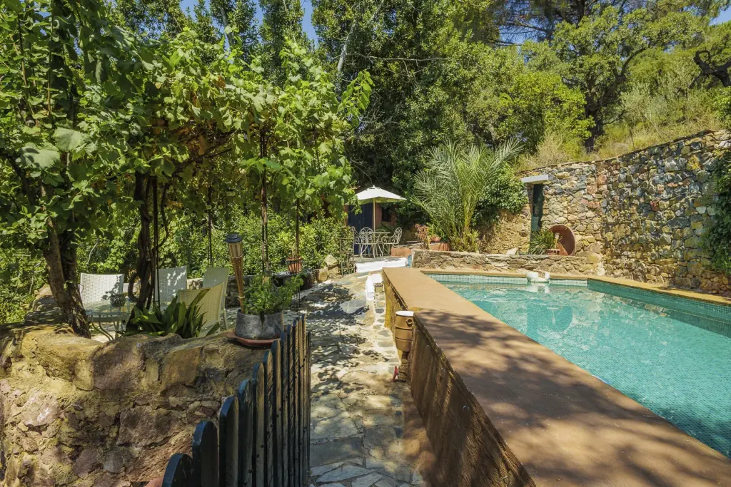 Piscina entre parras y muro de piedra en la casa rural La Toscana